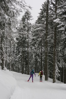 Ski de Fond 006 - Tous droits réservés - Mathieu Morverand - Photothèque sportsdenature.gouv.fr