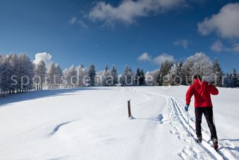 Ski de Fond 014 - Tous droits réservés - Photothèque sportsdenature.gouv.fr