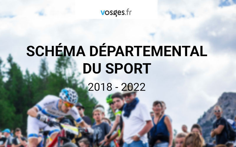 Le-département-des-Vosges-a-adopté-le-schéma-départemental-des-sports