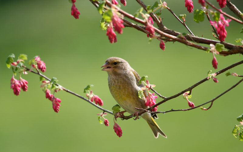 Un-partenariat-gagnant-pour-une-manifestation-sportive-respectueuse-de-la-biodiversité