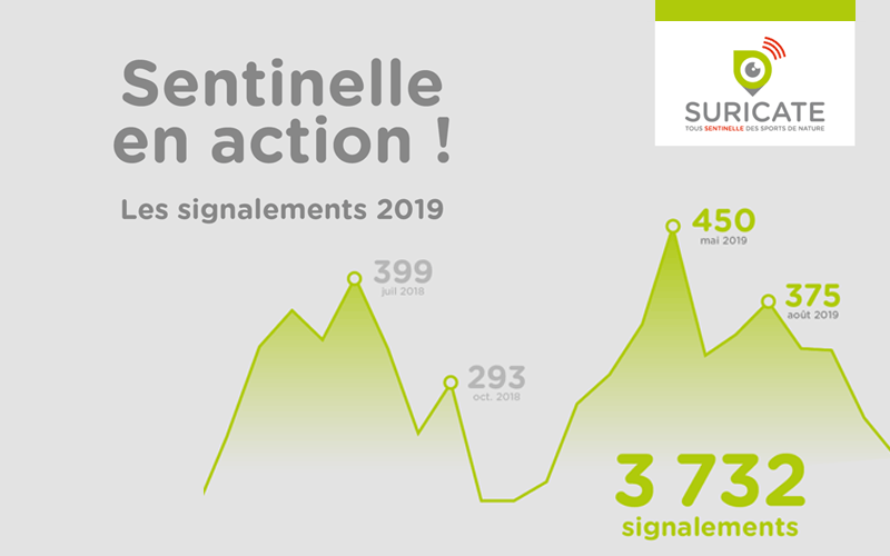 suricate-2019-2020