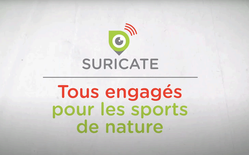 suricate-engagé