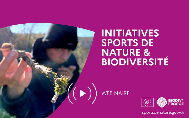 Webinaire-5-web