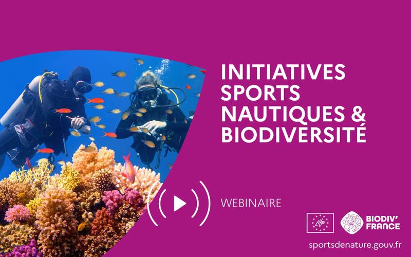 Webinaire-6-web