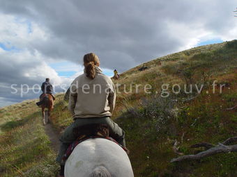 Équitation 003 - Tous droits réservés - Mathieu Morverand - Photothèque sportsdenature.gouv.fr