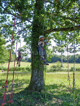 Grimpe d'arbres 004 - Tous droits réservés - Vincent Bouchet - Photothèque sportsdenature.gouv.fr