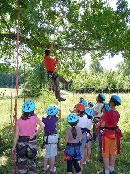 Grimpe d'arbres 009 - Tous droits réservés - Vincent Bouchet - Photothèque sportsdenature.gouv.fr