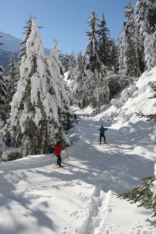 Ski de Fond 003 - Tous droits réservés - Mathieu Morverand - Photothèque sportsdenature.gouv.fr