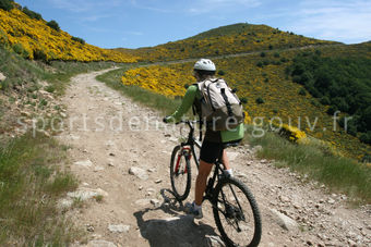 VTT 001 - Tous droits réservés - Mathieu Morverand - Photothèque sportsdenature.gouv.fr