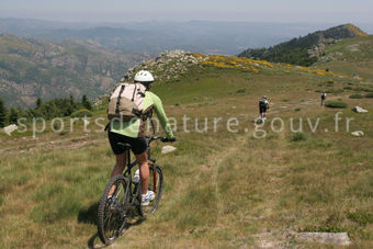 VTT 002 - Tous droits réservés - Mathieu Morverand - Photothèque sportsdenature.gouv.fr