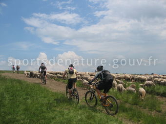 VTT 017 - Tous droits réservés - Mathieu Morverand - Photothèque sportsdenature.gouv.fr