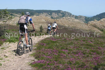 VTT 018 - Tous droits réservés - Mathieu Morverand - Photothèque sportsdenature.gouv.fr