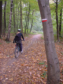 VTT 019 - Tous droits réservés - Mathieu Morverand - Photothèque sportsdenature.gouv.fr