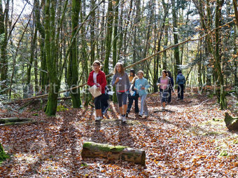 Course d'orientation 013 - Tous droits réservés - Jean-Marc Allaman - Photothèque sportsdenature.gouv.fr